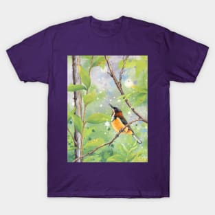 Lullaby (Eastern Spinebill) T-Shirt